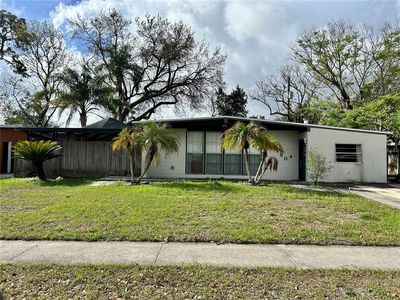 1130 Dogwood Ave, Tampa, FL, 33613