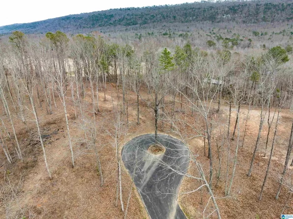 5 Prestwick Trce, Birmingham, AL 35242