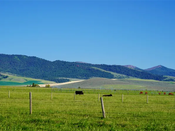 0 Chapman Ln, Stevensville, MT 59870