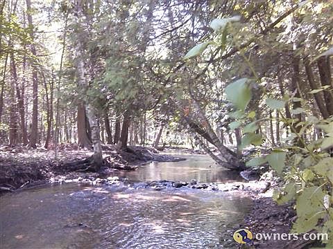 500 feet of creek frontage