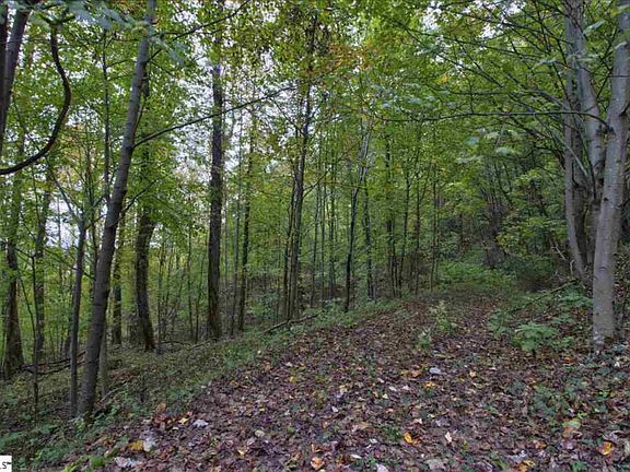 3rd image of 1355 Panther Park Trl
