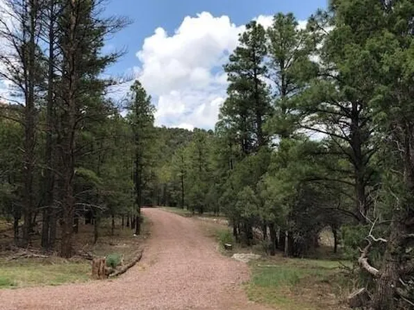 2 N 2331st, Nutrioso, AZ 85932