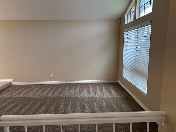 Living room (new carpet). Lots of natural light.
