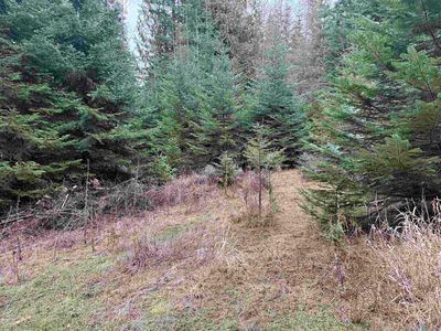 S Janice Dr, Worley, ID, 83876