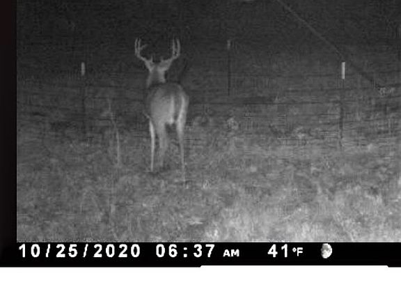 2nd image of 2026 County Road 4310