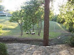 overlooking pond