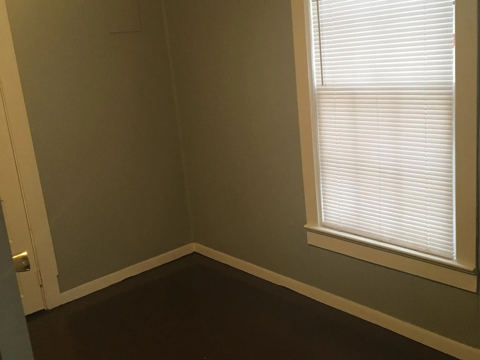 414 Morton Ave — Photo 4