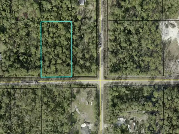 5512 Nutwood Ave #310, Bunnell, FL 32110