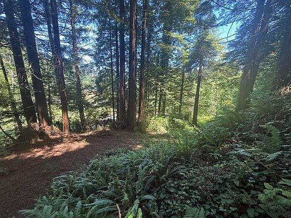 2nd image of 0 Spears Rd