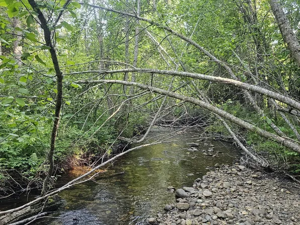 Nna Bethlehem Rd Lot 56, Bonners Ferry, ID 83805