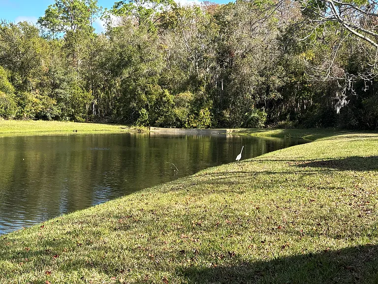 So peaceful!