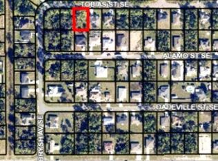 336 Tobias St SE, Palm Bay, FL 32909