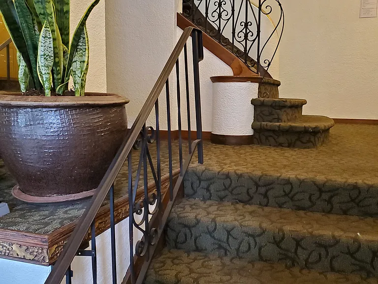 Bel Vista — Photo 11