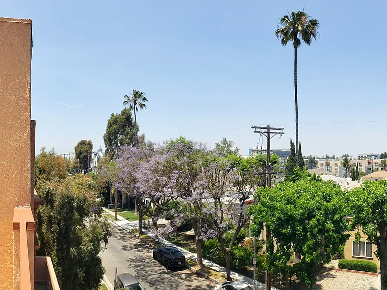 Academy Terrace — Photo 48