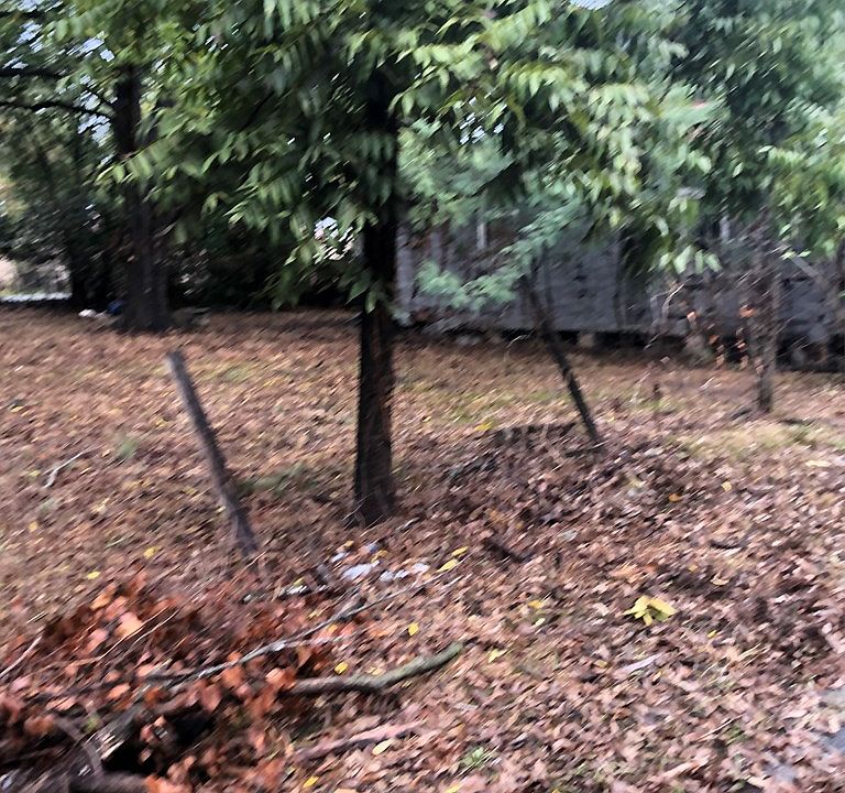 2nd image of 1701 Luckey St