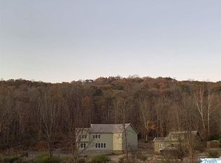 3989 Cathedral Caverns Rd, Woodville, AL 35776