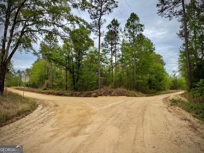 1310 Outlaw Grove Way, Soperton, GA, 30457