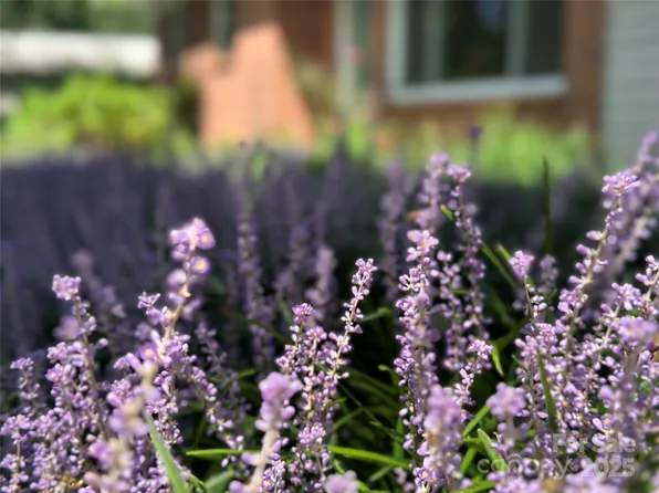 3020 Spencer Heights Dr, Lenoir, NC 28645