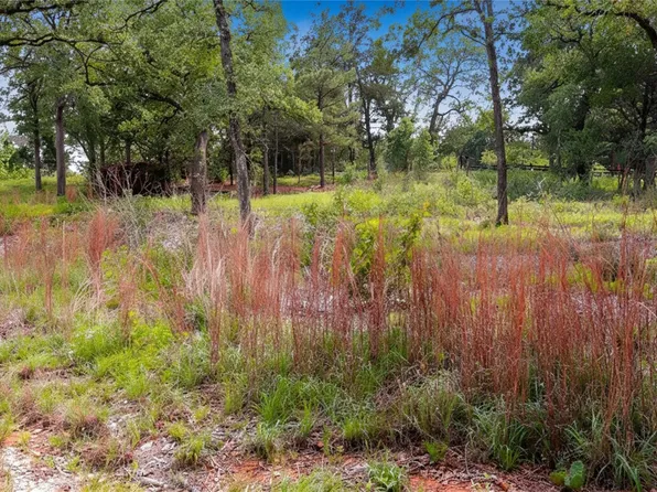 200 Cheyenne Dr, Smithville, TX 78957