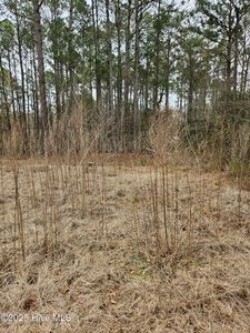 247 Old Ramsey Road, Burgaw, NC, 28425