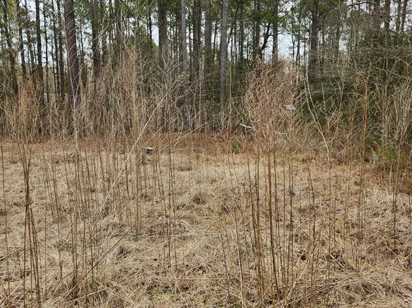 247 Old Ramsey Road, Burgaw, NC 28425