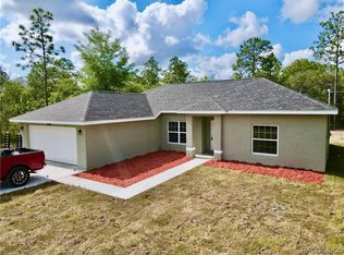 13054 Tailorbird Ave, Weeki Wachee, FL 34614