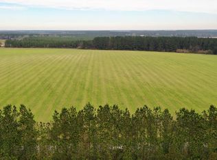 0 Russell Elliott Rd, Jay, FL 32565