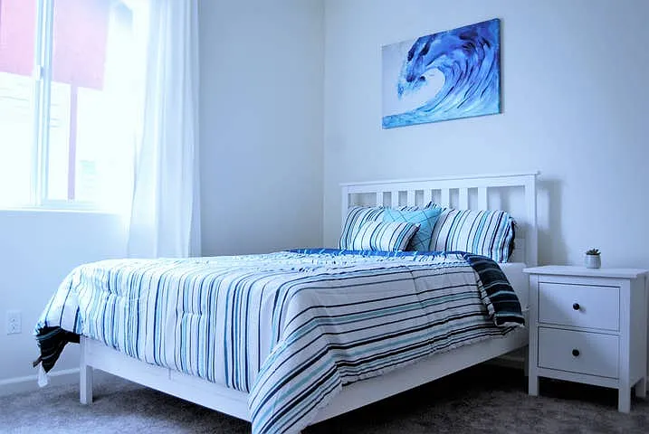 3655 El Dala Ln — Photo 10