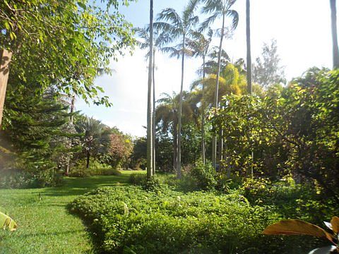 Native landscaping