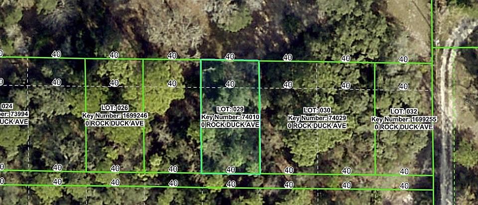 2nd image of ROCK DUCK AVENUE LOT 29