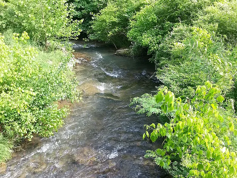 Greenbelt w/ Babbling Brook