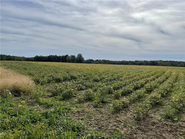 T 774 South Foster Rd, Jackson Center, PA 16133