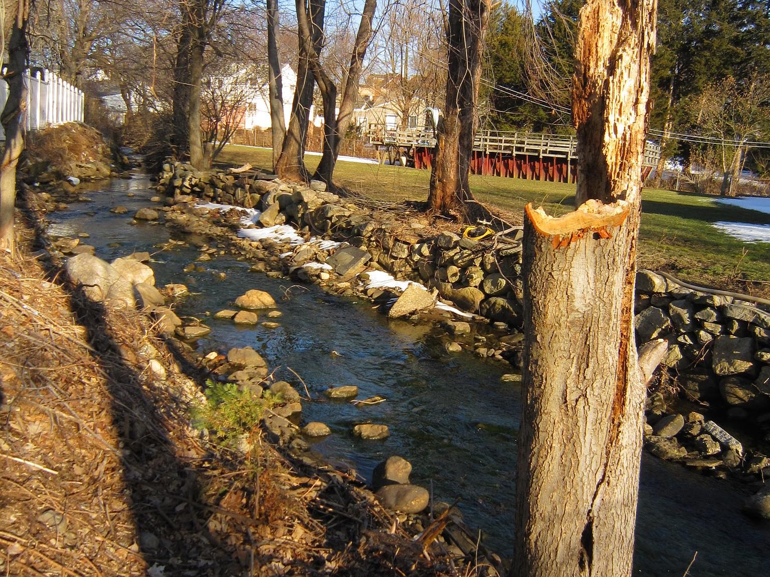 161 Anton St, Bridgeport, CT 06606 Zillow