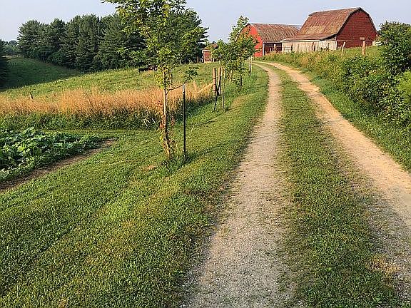 Private drive to barns
