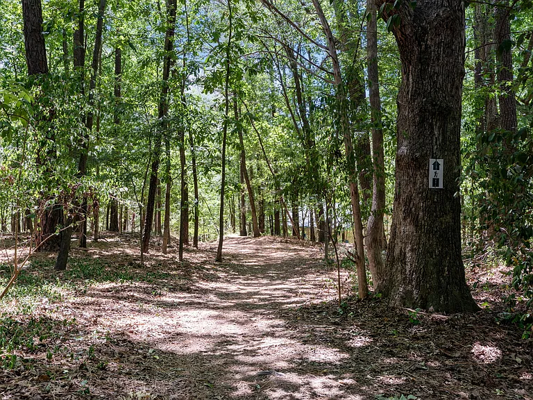 1547 Fountain Ridge Rd #1 — Photo 20