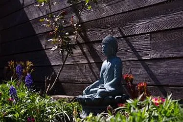 Rented by Steffan Olausson Partridge, LREB