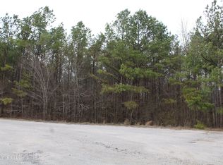 30 American Cv, Byhalia, MS 38611