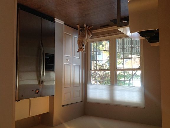 Kitchen Window & Pantry