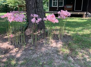 354 Fantail Dr, Saint Joe, AR 72675