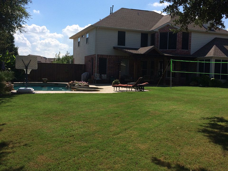 back yard
