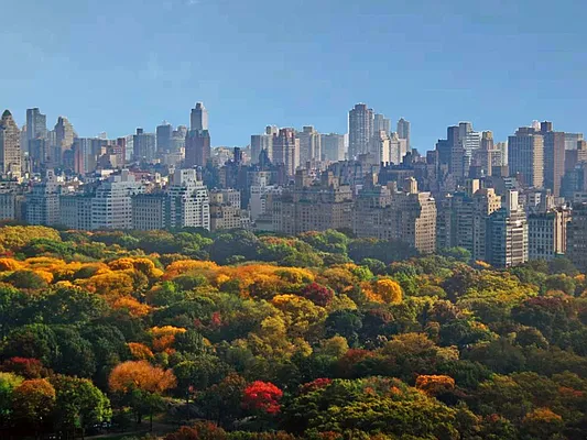 Sold by Sotheby's International Realty | media 1
