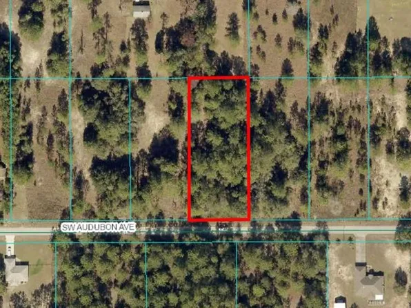 LOT 35 SW Audubon Ave Lot 35, Dunnellon, FL 34431