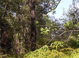 Road 9 Koloa Maoli LOT 5580, Kurtistown, HI 96760