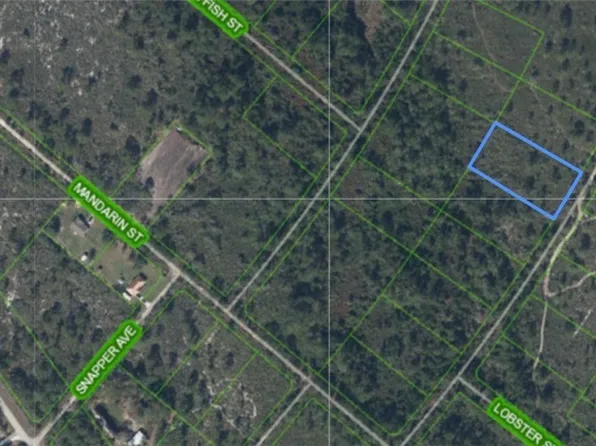 718 Dolphin Ave, Lake Placid, FL 33852
