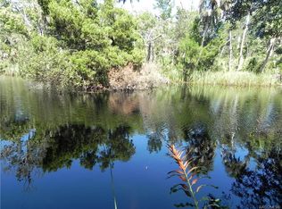 11265 W Spring Park Ct, Homosassa, FL 34448