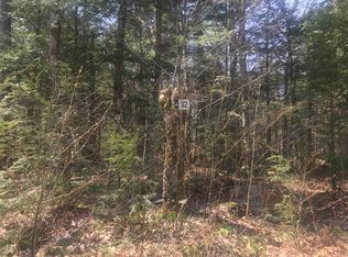 91 Spring Ct #M91 & M92, Wilmington, VT 05363