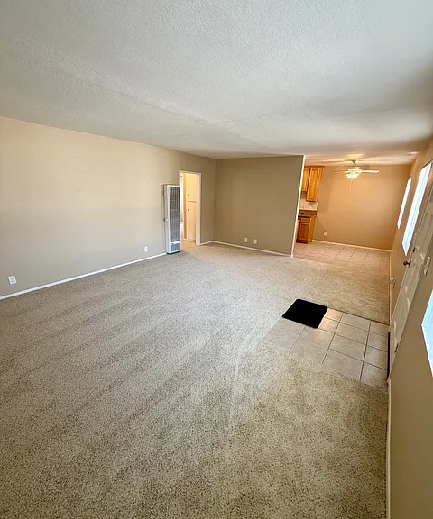 1009 Seabreeze Dr — Photo 4