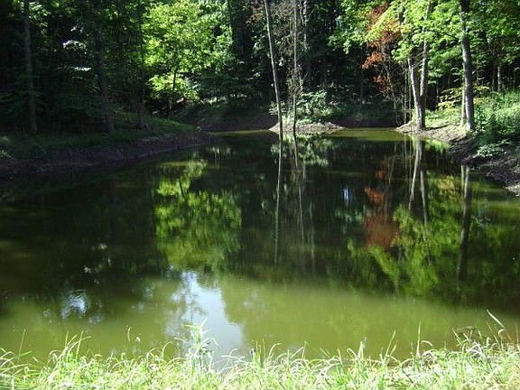 5th image of Walker Rd