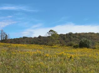 494 Shadigee Creek Rd, Starrucca, PA 18462