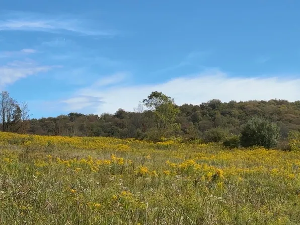 494 Shadigee Creek Rd, Starrucca, PA 18462